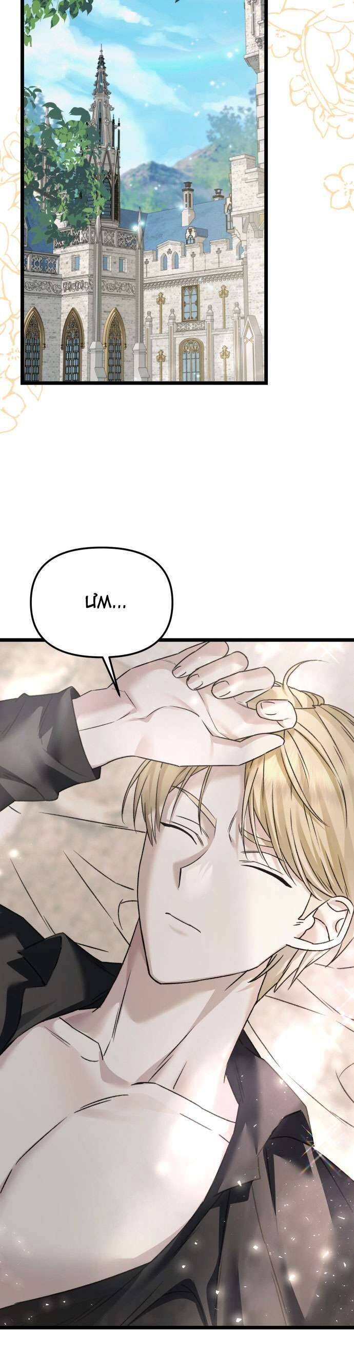 Trên Danh Nghĩa Vợ Chồng Chap 12 - Next Chap 13