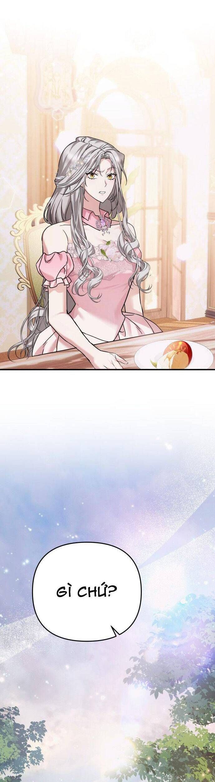 Trên Danh Nghĩa Vợ Chồng Chap 5 - Next Chap 6