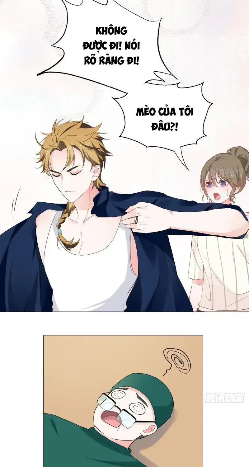 Trên Đời Không Có Mèo Tốt Chap 2 - Next Chap 3