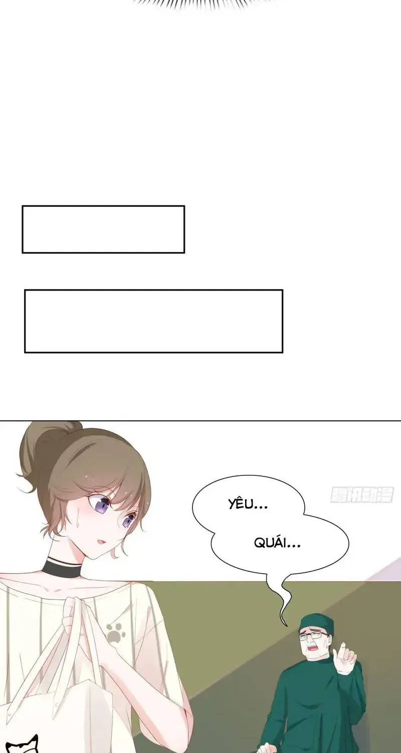 Trên Đời Không Có Mèo Tốt Chap 2 - Next Chap 3