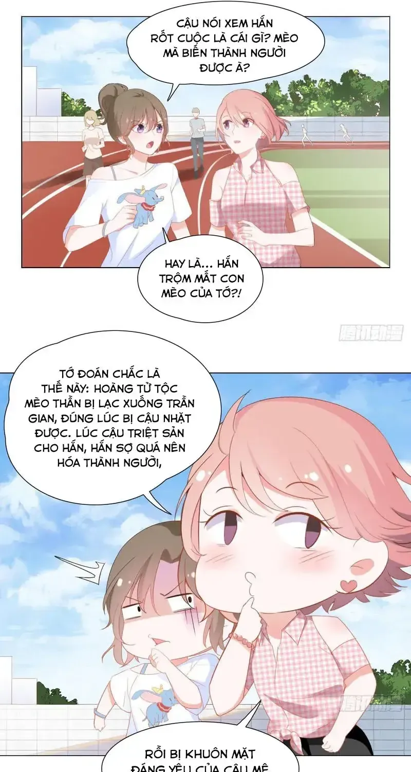Trên Đời Không Có Mèo Tốt Chap 2 - Next Chap 3