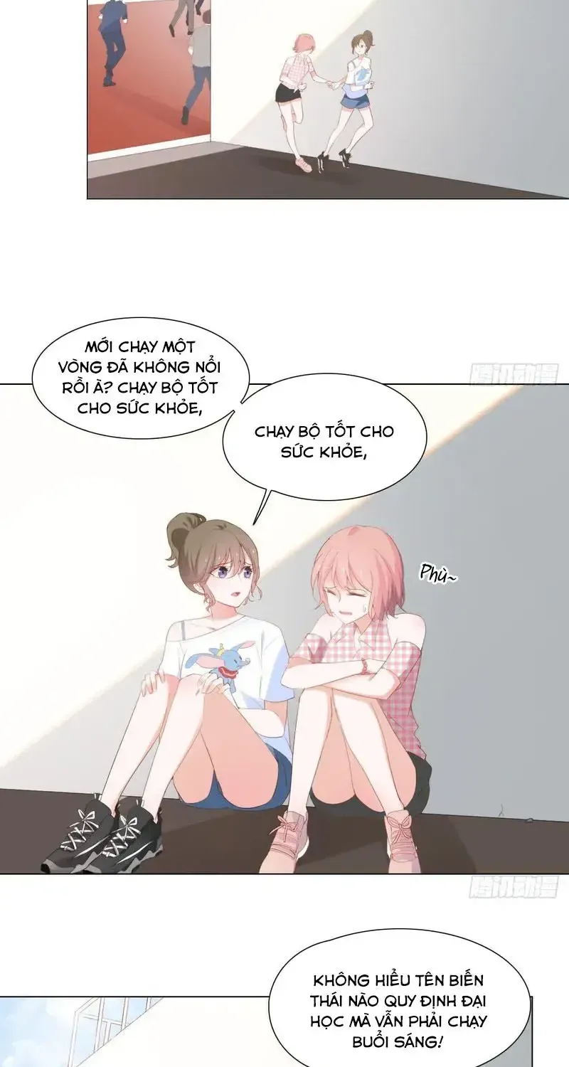 Trên Đời Không Có Mèo Tốt Chap 2 - Next Chap 3
