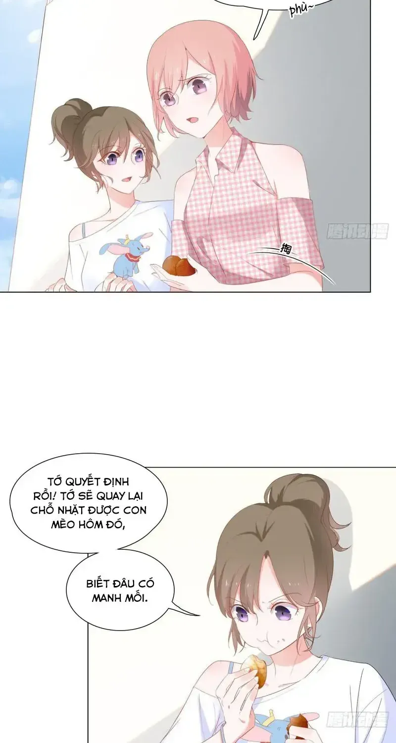 Trên Đời Không Có Mèo Tốt Chap 2 - Next Chap 3