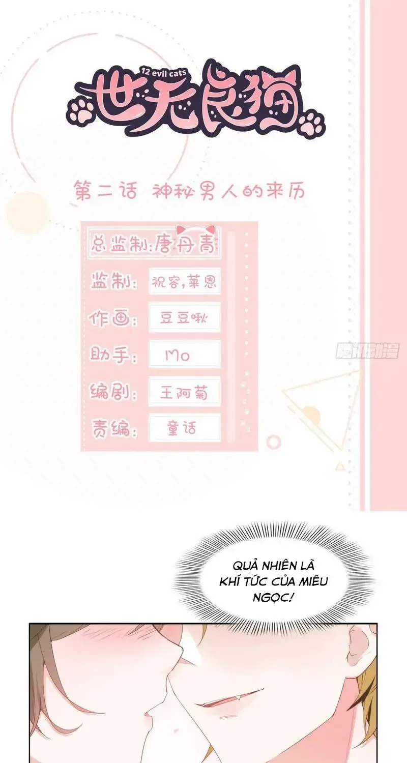 Trên Đời Không Có Mèo Tốt Chap 2 - Next Chap 3