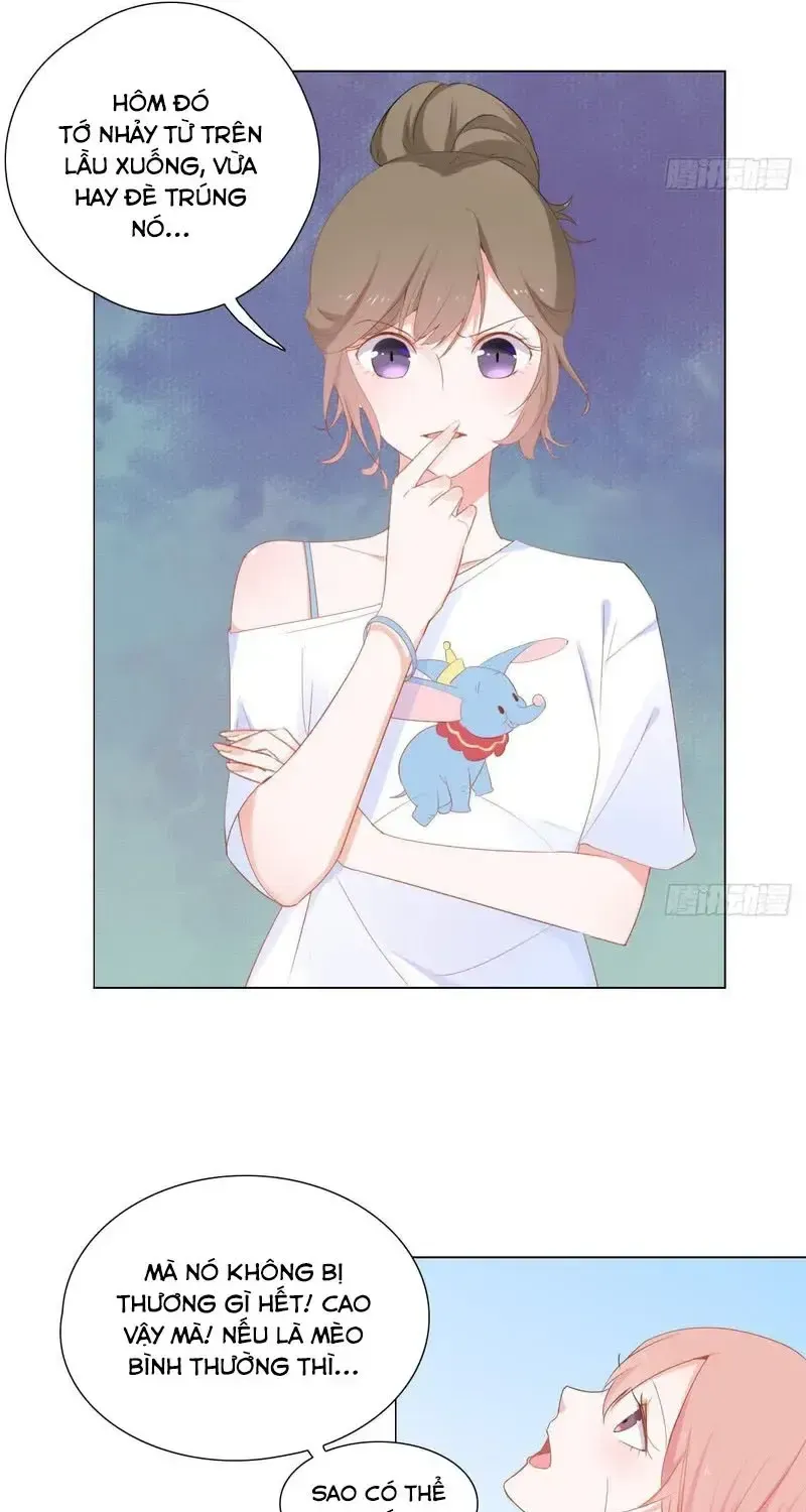 Trên Đời Không Có Mèo Tốt Chap 2 - Next Chap 3