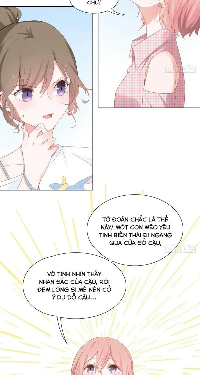 Trên Đời Không Có Mèo Tốt Chap 2 - Next Chap 3