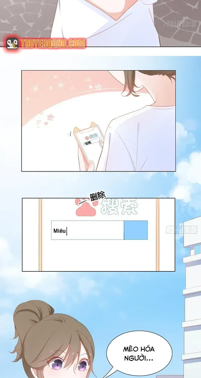 Trên Đời Không Có Mèo Tốt Chap 2 - Next Chap 3