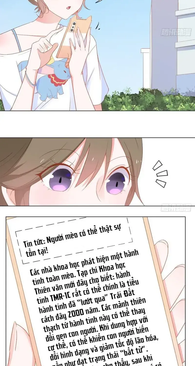 Trên Đời Không Có Mèo Tốt Chap 2 - Next Chap 3