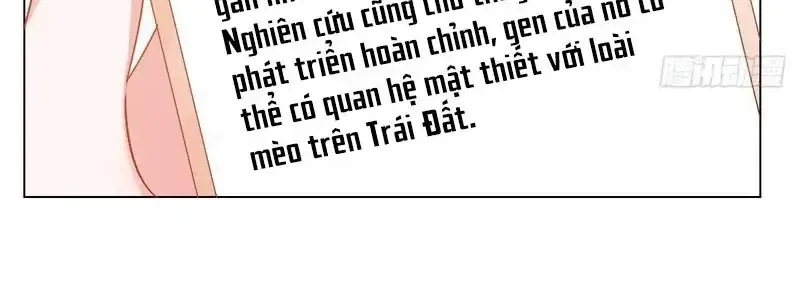 Trên Đời Không Có Mèo Tốt Chap 2 - Next Chap 3