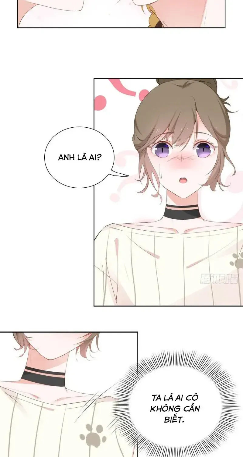 Trên Đời Không Có Mèo Tốt Chap 2 - Next Chap 3