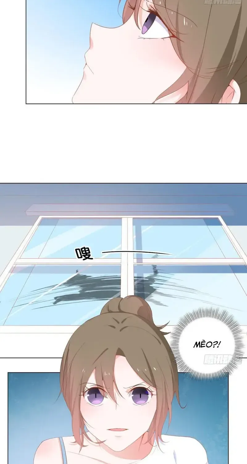 Trên Đời Không Có Mèo Tốt Chap 2 - Next Chap 3