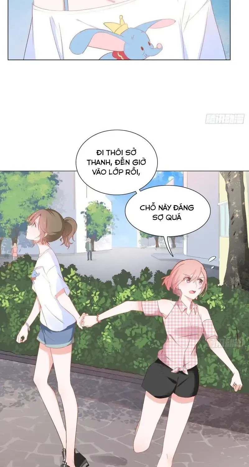 Trên Đời Không Có Mèo Tốt Chap 2 - Next Chap 3