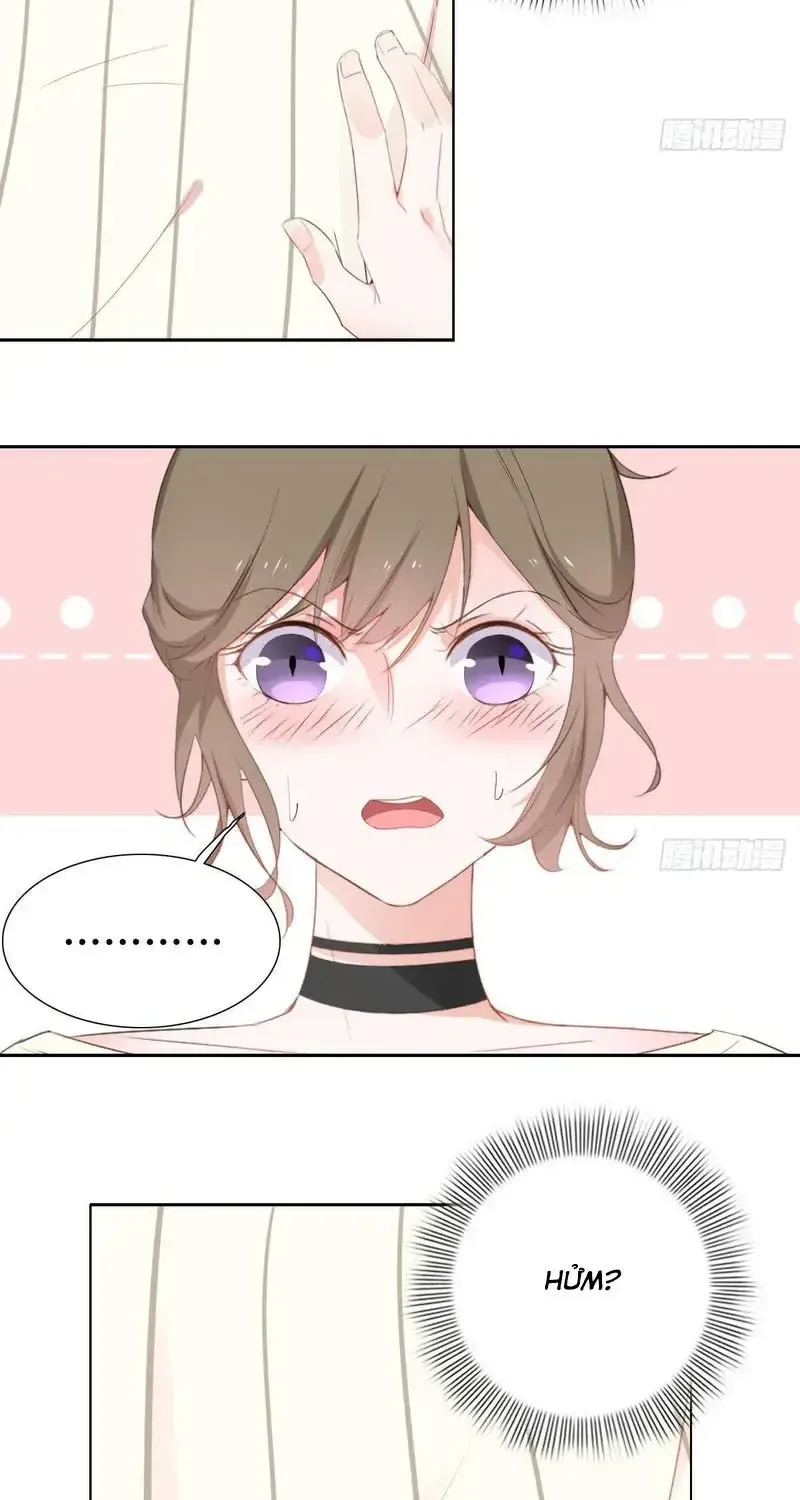 Trên Đời Không Có Mèo Tốt Chap 2 - Next Chap 3