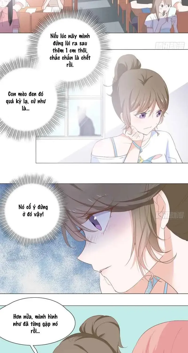 Trên Đời Không Có Mèo Tốt Chap 3 - Next Chap 4
