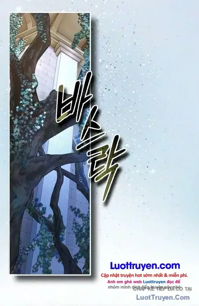 Trên Thế Giới Không Có Chiến Binh Xấu Chap 81 - Next Chap 82
