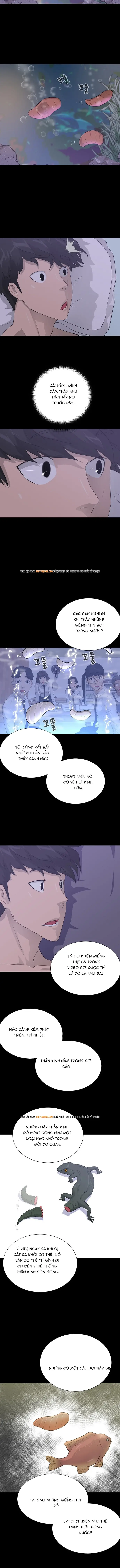 Trigger Chap 50 - Next Chap 51