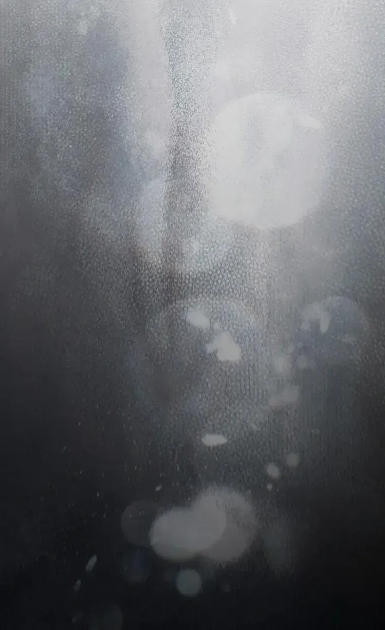 Trở Thành Cô Cháu Gái Bị Khinh Miệt Của Gia Tộc Võ Lâm Chap 104.4 - Next Chap 105.4