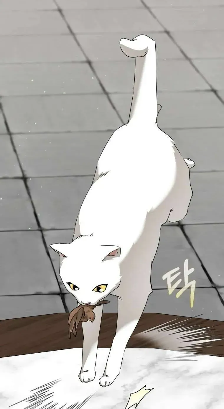 Trở Thành Cô Cháu Gái Bị Khinh Miệt Của Gia Tộc Võ Lâm Chap 92.3 - Next Chap 93.3