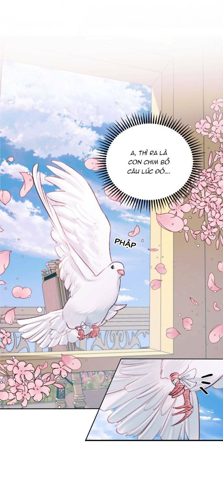 Trở Thành Cô Vợ Khế Ước Của Nhân Vật Phản Diện Chap 12 - Next Chap 13