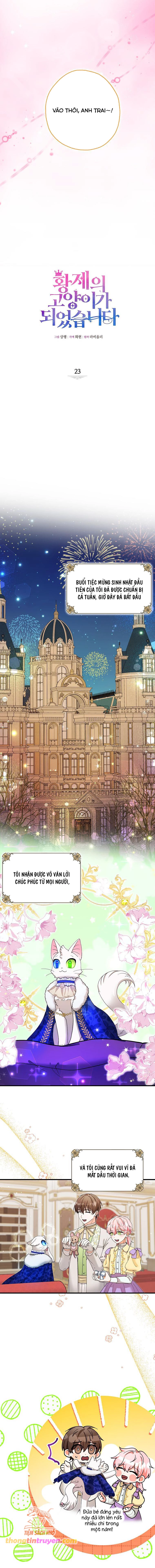 Trở Thành Miêu Nữ Của Hoàng Đế Chap 23 - Next Chap 24