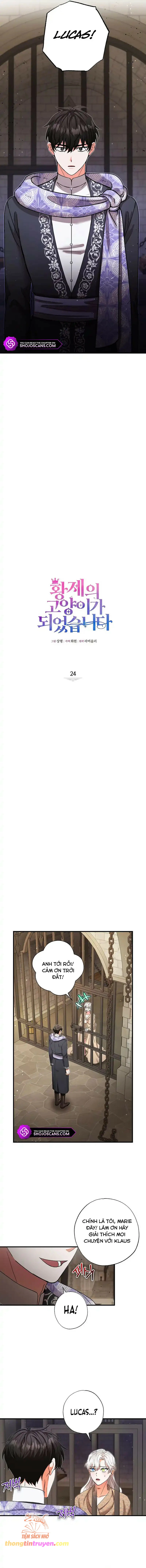 Trở Thành Miêu Nữ Của Hoàng Đế Chap 24 - Next Chap 25