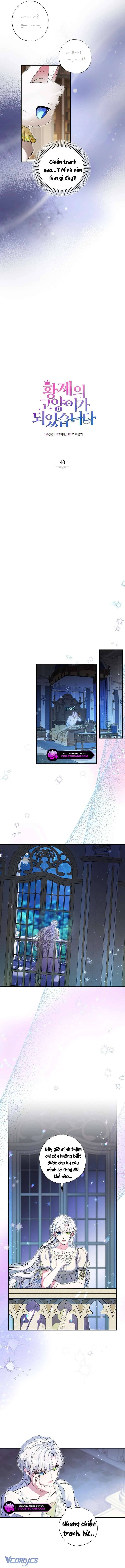 Trở Thành Miêu Nữ Của Hoàng Đế Chap 40 - Next Chap 41