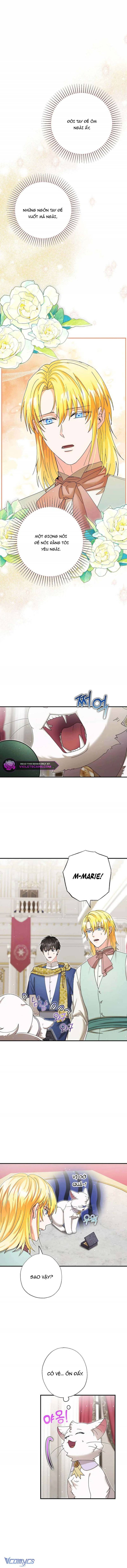 Trở Thành Miêu Nữ Của Hoàng Đế Chap 53 - Next Chap 54