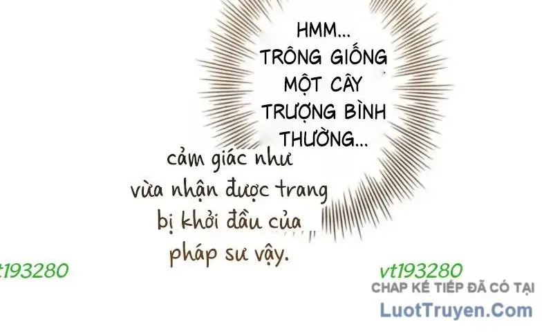 Trở Thành Pháp Sư Ở Thế Giới Giả Tưởng Thời Trung Cổ Chap 12 - Next Chap 13