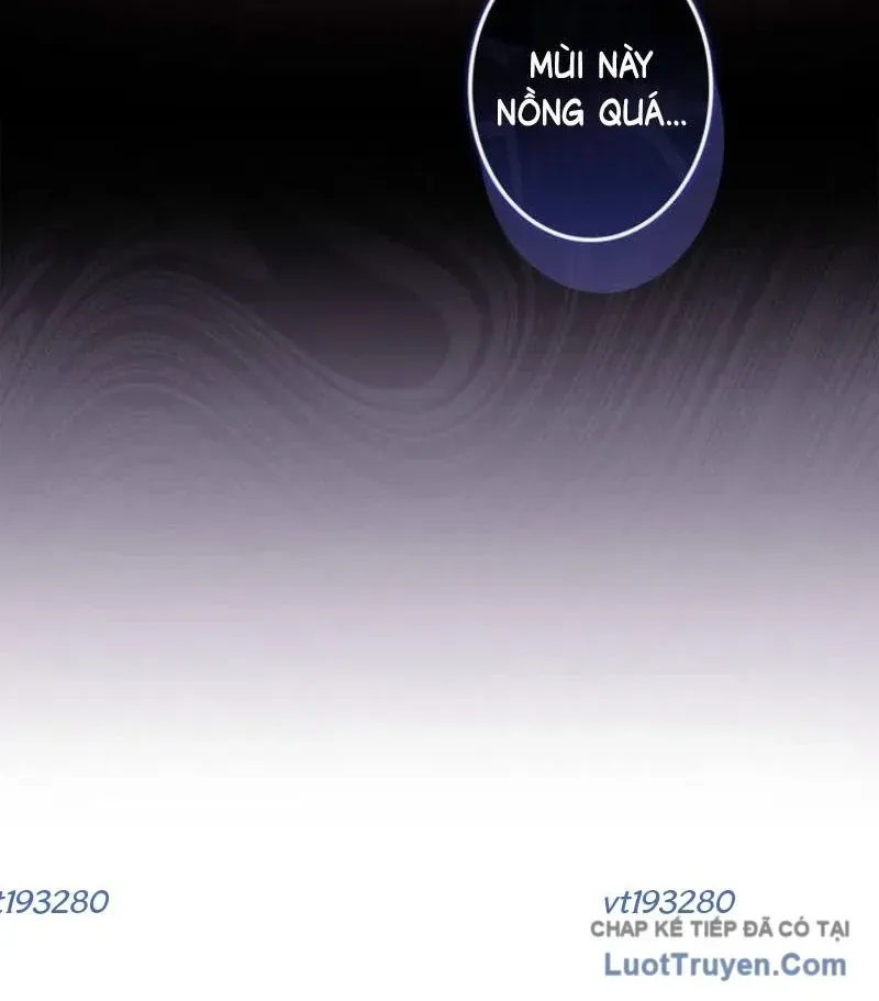 Trở Thành Pháp Sư Ở Thế Giới Giả Tưởng Thời Trung Cổ Chap 15 - Next Chap 16