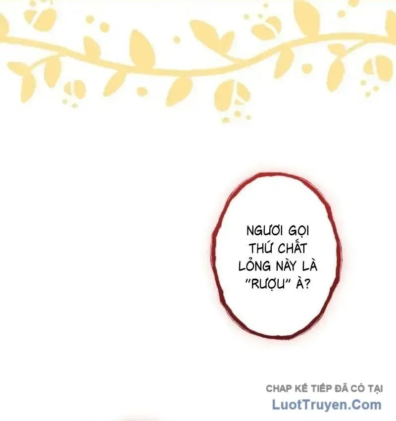 Trở Thành Pháp Sư Ở Thế Giới Giả Tưởng Thời Trung Cổ Chap 5 - Next Chap 6