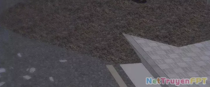 Trở Về Làm Đại Lão Thời Mạt Thế Chap 306 - Next Chap 307