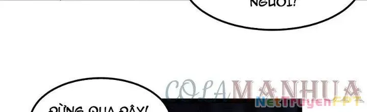 Trở Về Làm Đại Lão Thời Mạt Thế Chap 306 - Next Chap 307