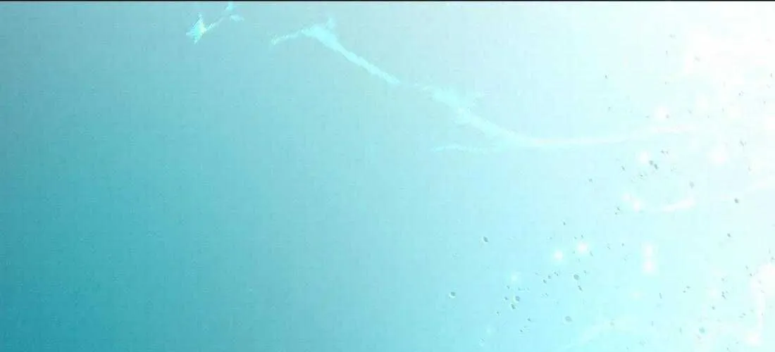 Trỗi Dậy Từ Tro Tàn Chap 100 - Next Chap 101