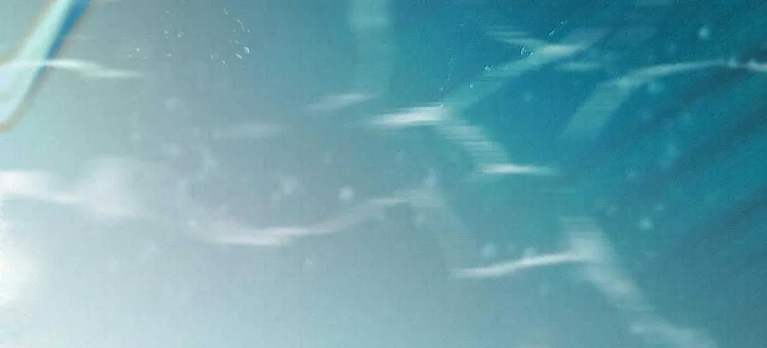 Trỗi Dậy Từ Tro Tàn Chap 100 - Next Chap 101