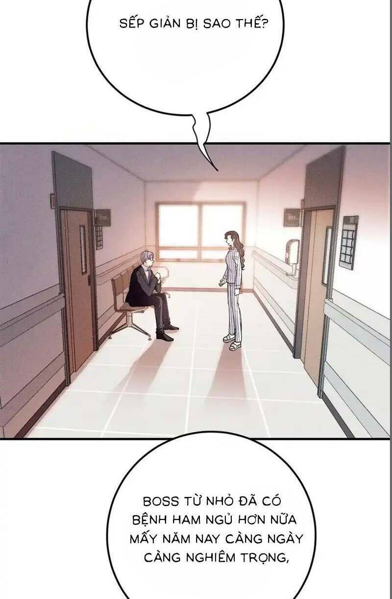 Trọng Sinh Báo Thù Gặp Được Bá Đạo Tổng Tài Chap 20 - Next Chap 21