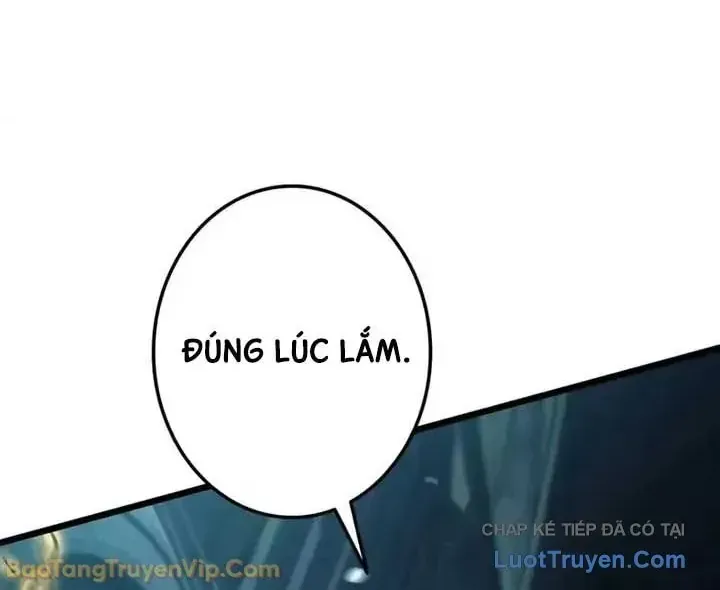 Trọng Sinh Giả Streaming Chap 42 - Next Chap 43