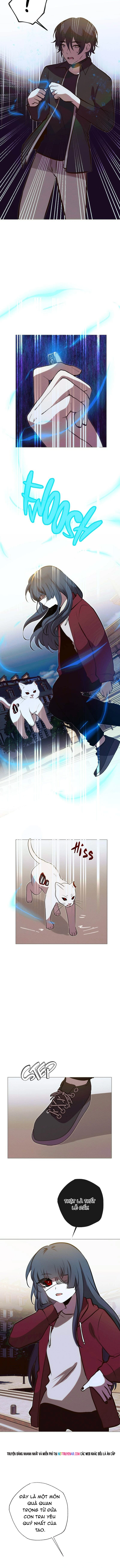 Trọng Sinh Mạc Thế Chap 240 - Next Chap 241