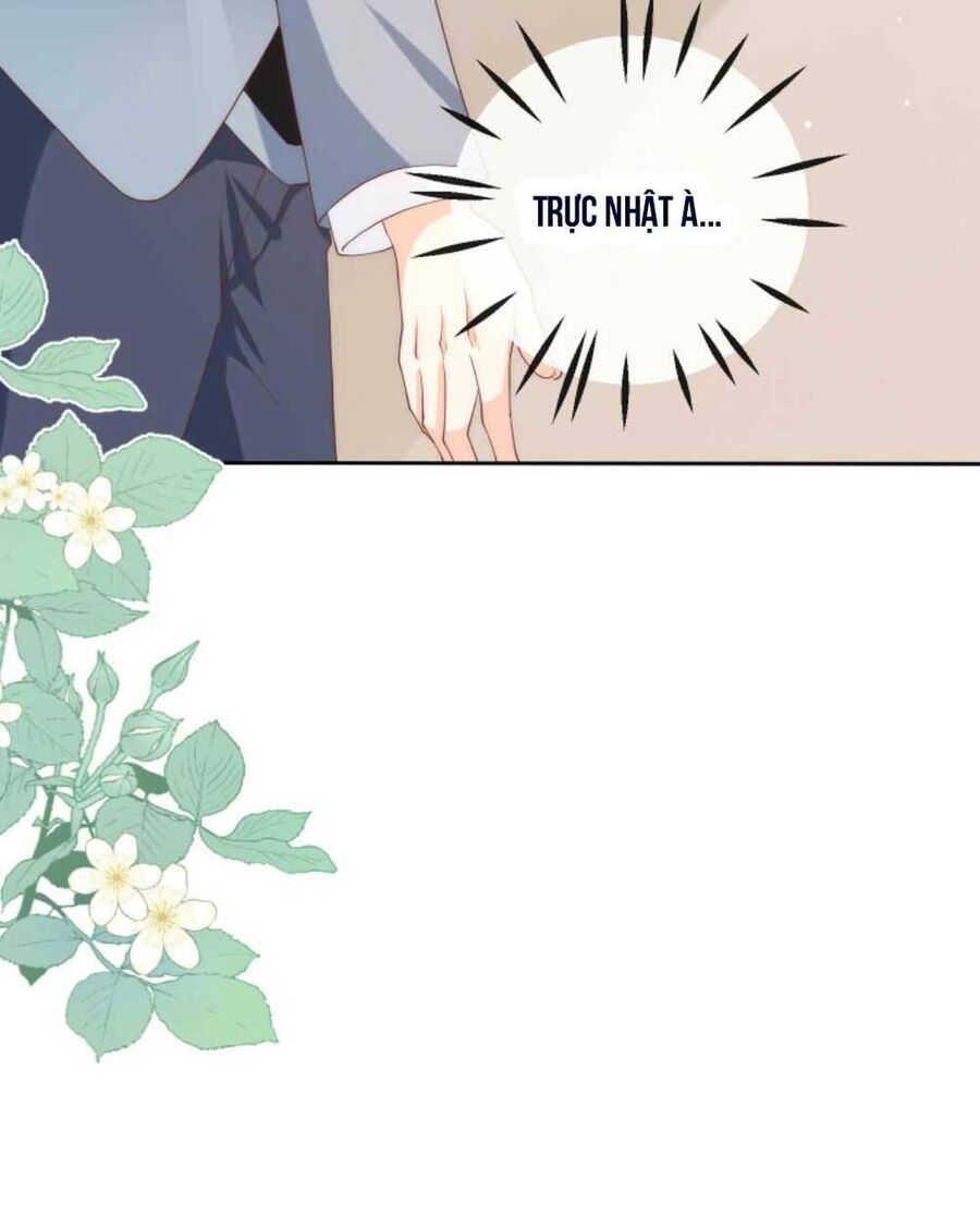 Trọng Sinh Trở Lại Làm Vợ Tổng Tài Chap 18 - Next Chap 19