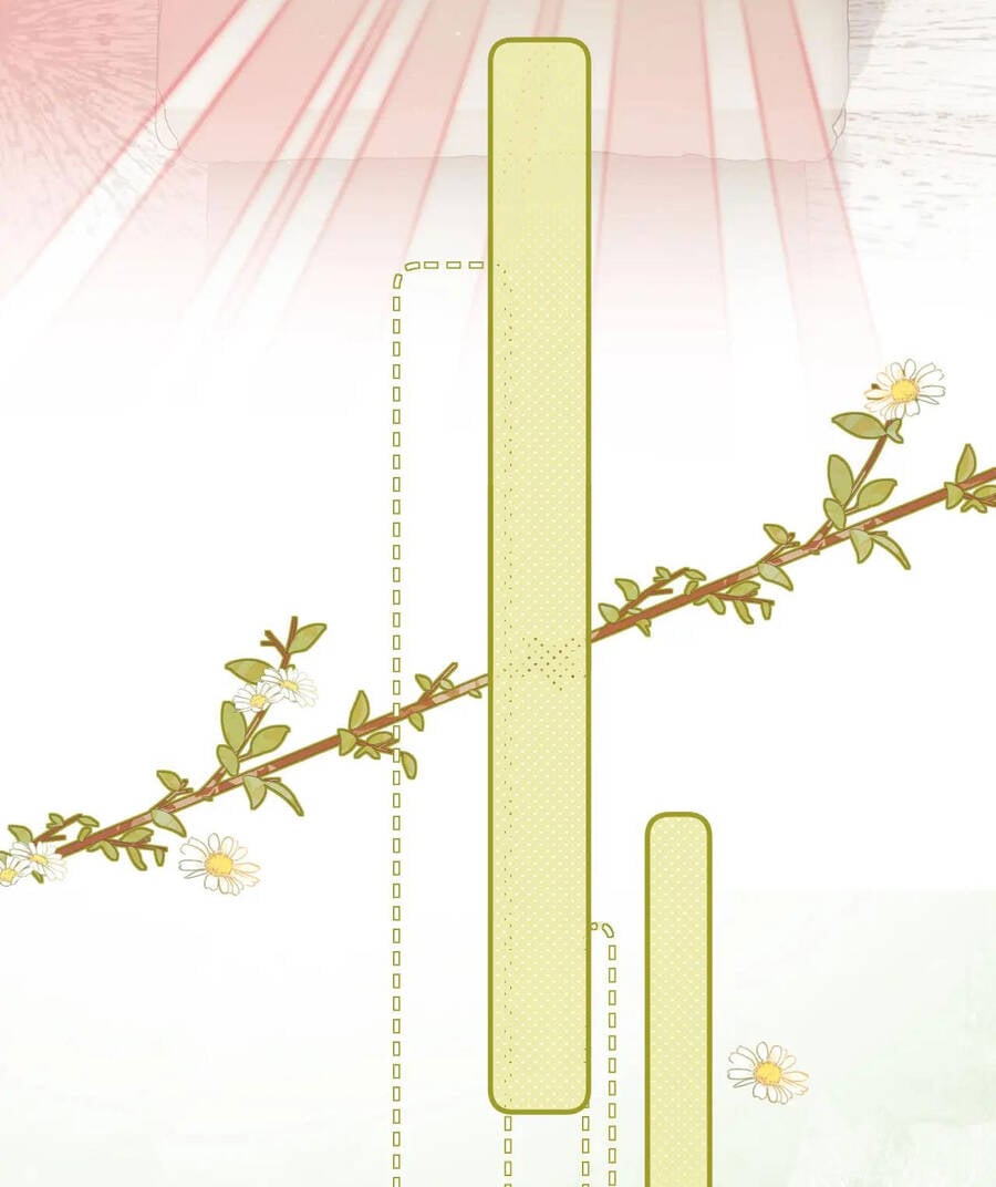 Trọng Sinh Trở Thành Fan" Vợ " Của Thần Tượng Chap 24.1 - Next Chap 25.1