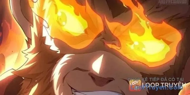Trụ Vương Tái Sinh Không Muốn Làm Đại Phản Diện Chap 268 - Next Chap 269