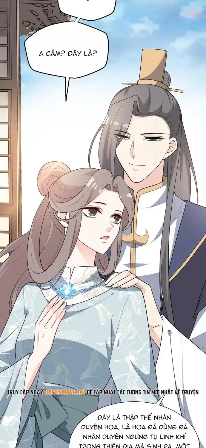 Trùng Sinh Chuyên Sủng Độc Phi Của Nhiếp Chính Vương Chap 142 - Next Chap 143