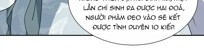 Trùng Sinh Chuyên Sủng Độc Phi Của Nhiếp Chính Vương Chap 142 - Next Chap 143