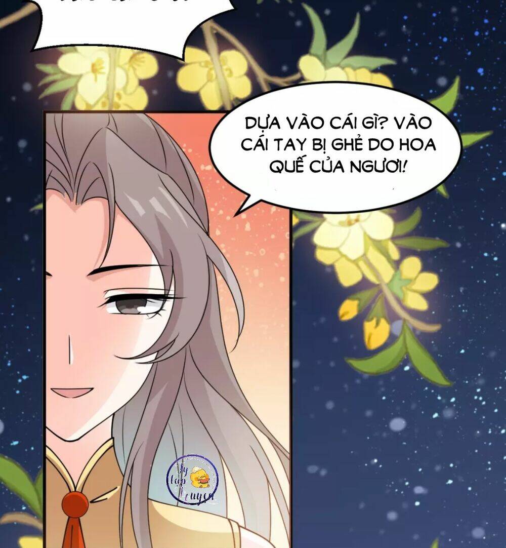 Trùng Sinh Chuyên Sủng Độc Phi Của Nhiếp Chính Vương Chap 22 - Next Chap 23