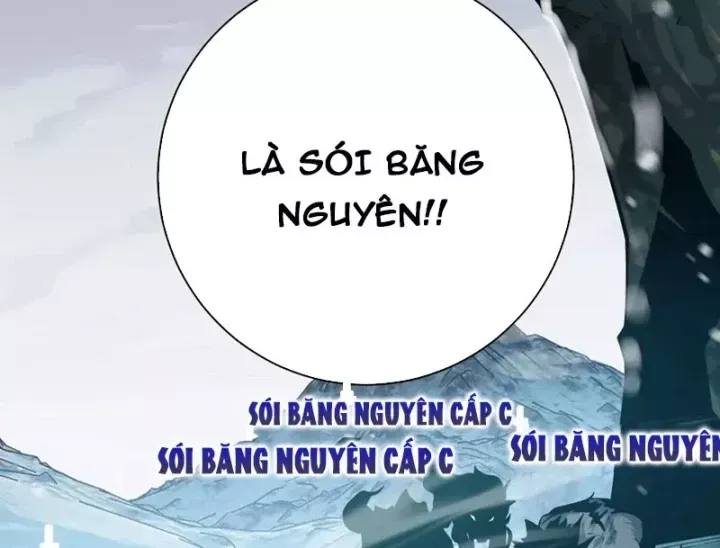 Trùng Sinh Ta Có Được Hệ Thống Không Cấp Chap 21 - Next Chap 22