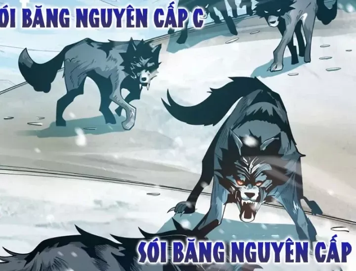 Trùng Sinh Ta Có Được Hệ Thống Không Cấp Chap 21 - Next Chap 22