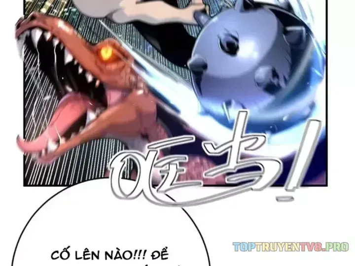 Trùng Sinh Ta Có Được Hệ Thống Không Cấp Chap 22 - Next Chap 23