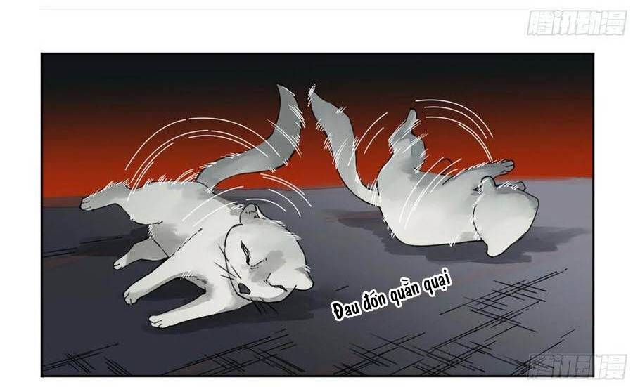 Truyền Võ Chap 184 - Next Chap 185