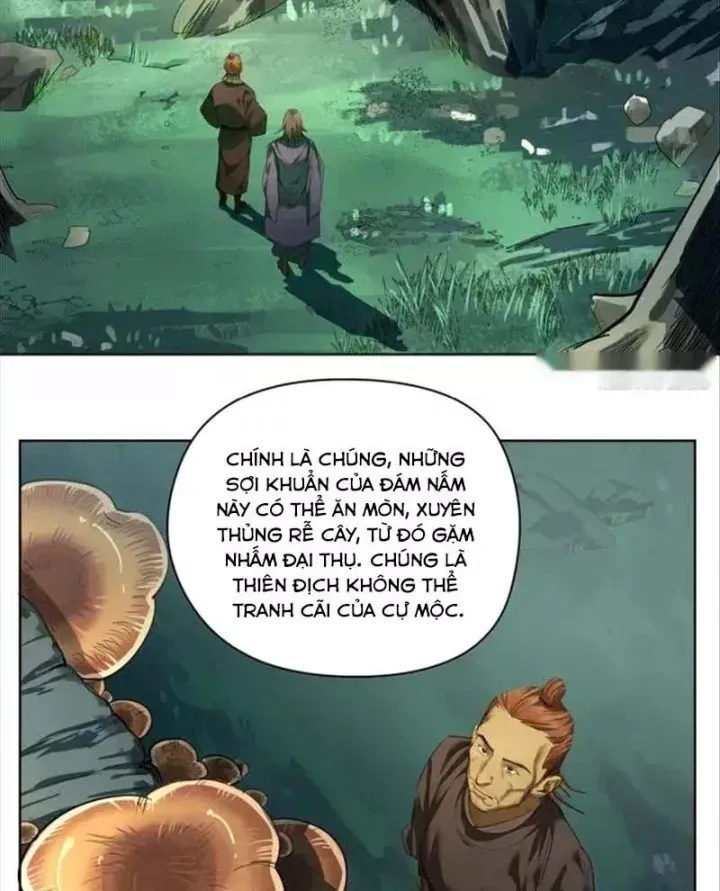 Truyền Võ Chap 503 - Next Chap 504