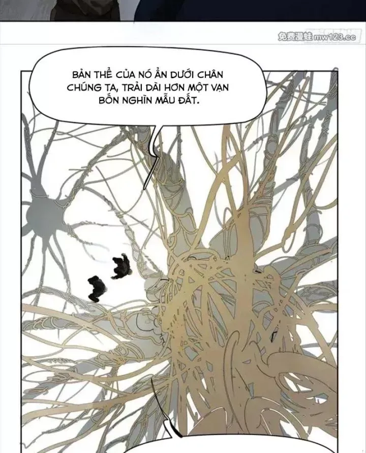 Truyền Võ Chap 503 - Next Chap 504