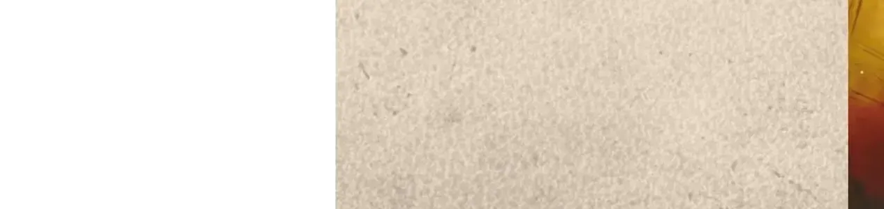 Ts Medic's Battlefield Diary Chap 1 - Next Chap 2